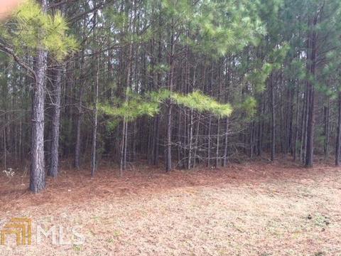 336 Yorkshire Trce, Hampton, GA 30228 photo 1