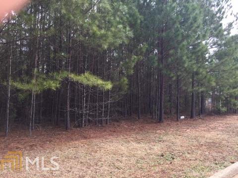 336 Yorkshire Trce, Hampton, GA 30228 photo 2