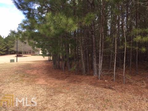 336 Yorkshire Trce, Hampton, GA 30228 photo 3