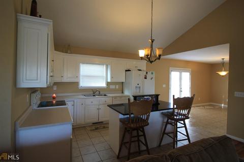 75 River Ridge Dr, Carnesville, GA 30521 photo 5