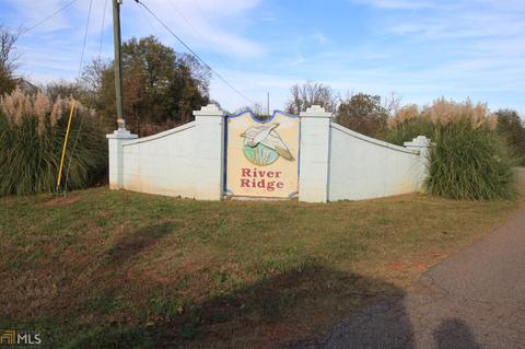 75 River Ridge Dr, Carnesville, GA 30521 photo 22