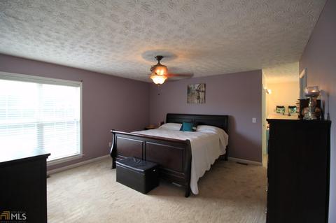 75 River Ridge Dr, Carnesville, GA 30521 photo 8