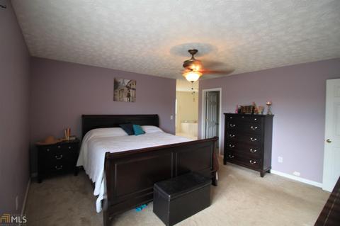 75 River Ridge Dr, Carnesville, GA 30521 photo 10