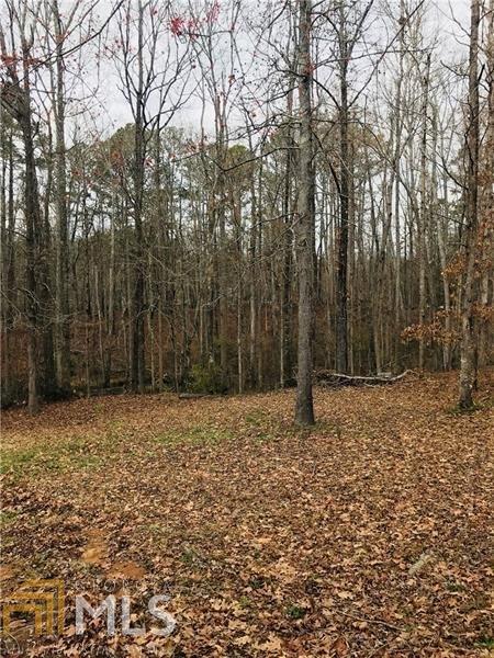 30 Lakeside Dr, Covington, GA 30016 photo 10