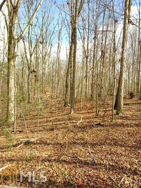 2285 Dusty Rd, Bowman, GA 30624 photo 4
