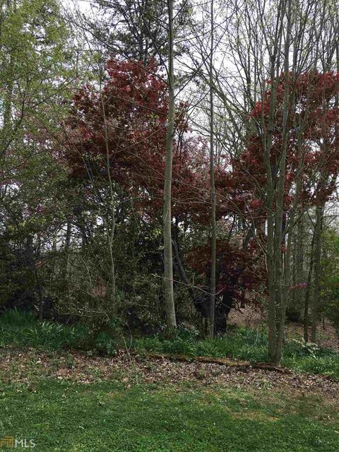 223 Devonshire, Toccoa, GA 30577 photo 24