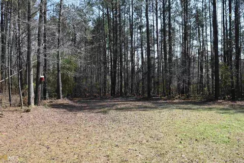 1044 Hunter Rd, Williamson, GA 30292 photo 33