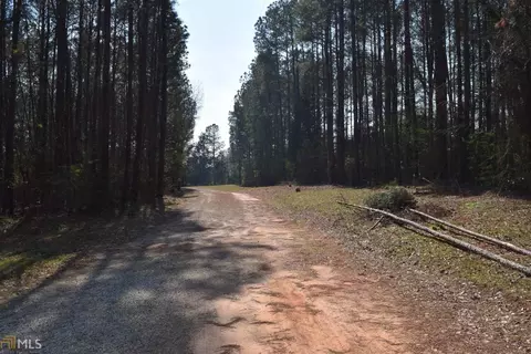 1044 Hunter Rd, Williamson, GA 30292 photo 36