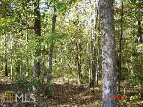 3415 County Rd 272, Five Points, AL 36855 photo 25