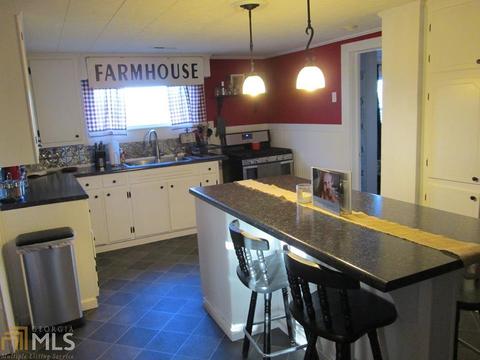 245 Dot Rd, Bowdon, GA 30108 photo 4