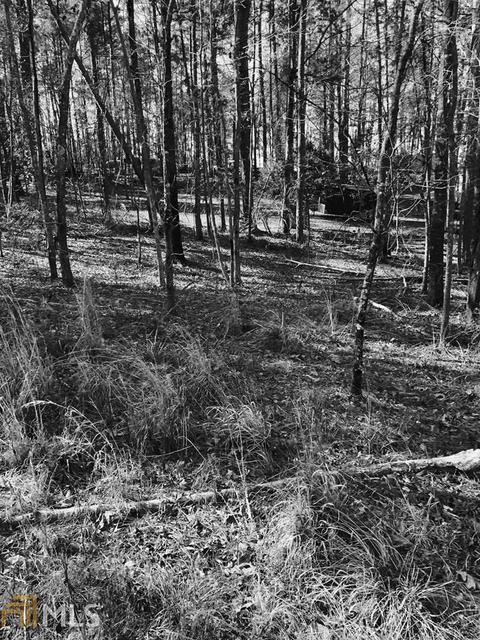248 Arrowhead Dr, Sparta, GA 31087 photo 6