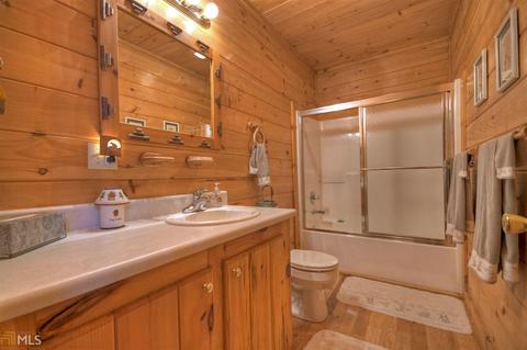 449 Bushy Head Rd, Cherry Log, GA 30522 photo 17