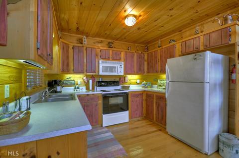 449 Bushy Head Rd, Cherry Log, GA 30522 photo 6