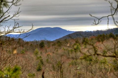 449 Bushy Head Rd, Cherry Log, GA 30522 photo 10