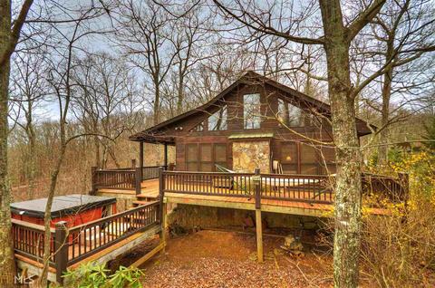 449 Bushy Head Rd, Cherry Log, GA 30522 photo 8