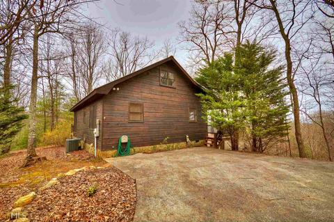 449 Bushy Head Rd, Cherry Log, GA 30522 photo 25