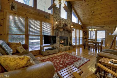 449 Bushy Head Rd, Cherry Log, GA 30522 photo 4