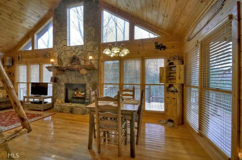 449 Bushy Head Rd, Cherry Log, GA 30522 photo 21