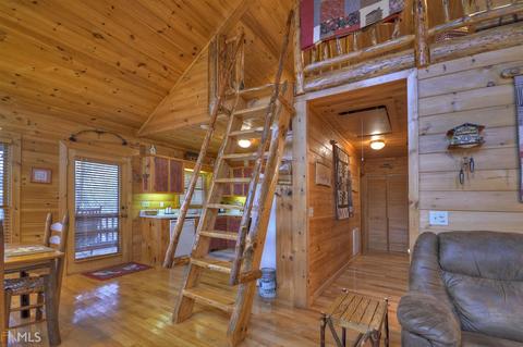 449 Bushy Head Rd, Cherry Log, GA 30522 photo 7