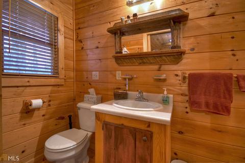 449 Bushy Head Rd, Cherry Log, GA 30522 photo 13
