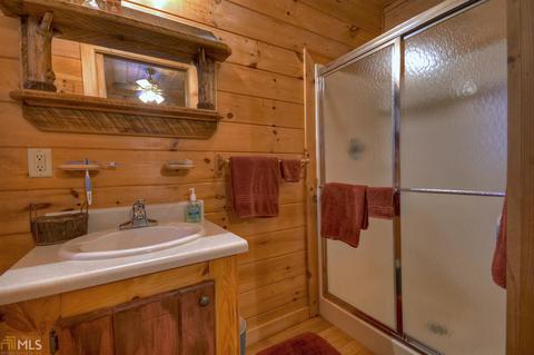 449 Bushy Head Rd, Cherry Log, GA 30522 photo 14