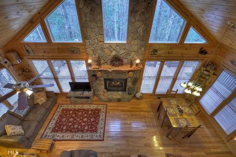 449 Bushy Head Rd, Cherry Log, GA 30522 photo 18