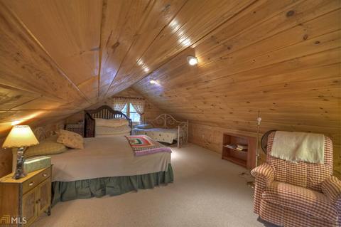 449 Bushy Head Rd, Cherry Log, GA 30522 photo 19