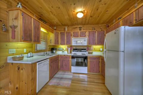 449 Bushy Head Rd, Cherry Log, GA 30522 photo 23