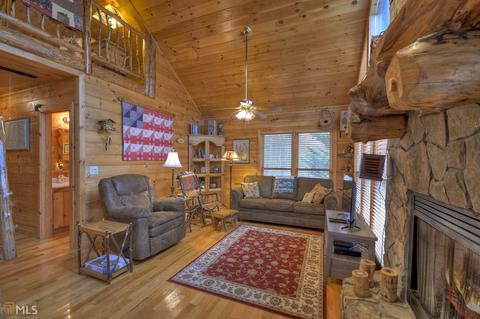 449 Bushy Head Rd, Cherry Log, GA 30522 photo 22