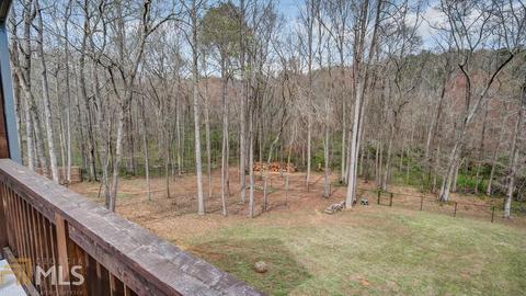 3633 Flat Run Dr, Bethlehem, GA 30620 photo 22