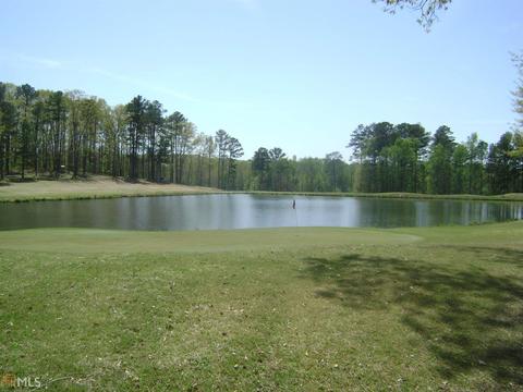 3612 Eagle View Way, Monroe, GA 30655 photo 33
