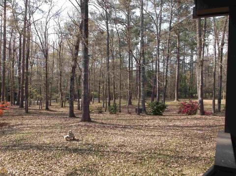 3288 Paddock Rd, Covington, GA 30014 photo 28