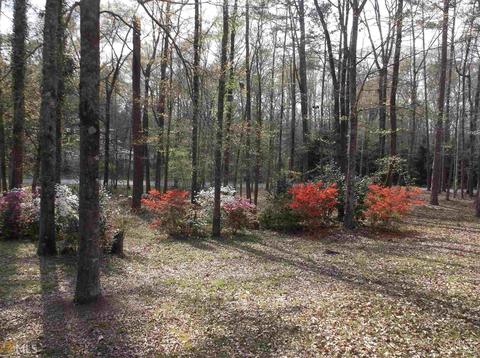 3288 Paddock Rd, Covington, GA 30014 photo 27