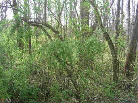 145 Masters Dr, Demorest, GA 30535 photo 25