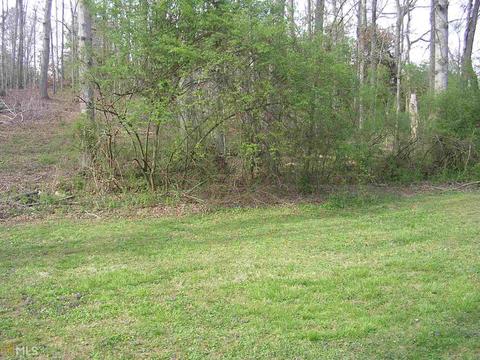 145 Masters Dr, Demorest, GA 30535 photo 27