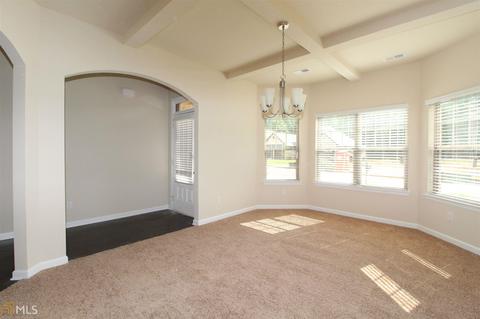 3188 Alhambra Cir, Hampton, GA 30228 photo 22