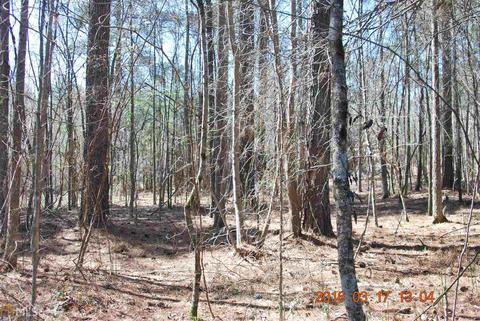4583 Oglethorpe Loop, Acworth, GA 30101 photo 11