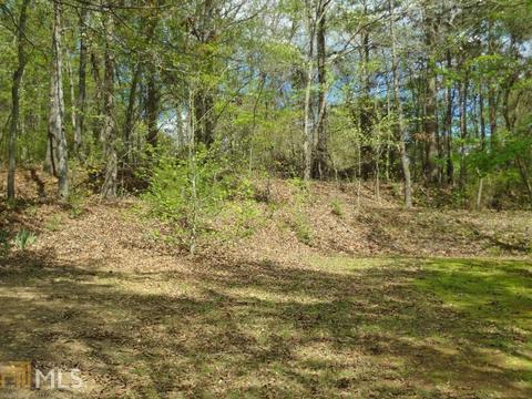 160 Pebble Ridge Dr, Covington, GA 30014 photo 23