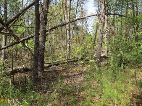 604 Currahee Pt, Toccoa, GA 30577 photo 10