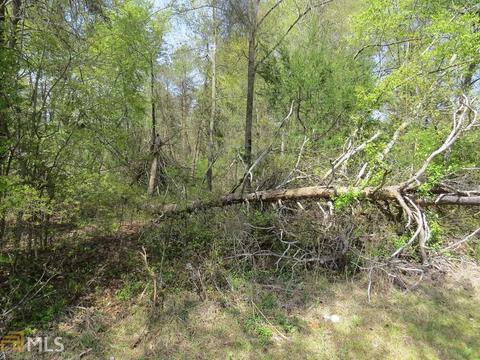 604 Currahee Pt, Toccoa, GA 30577 photo 5