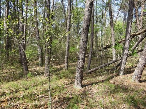 604 Currahee Pt, Toccoa, GA 30577 photo 2