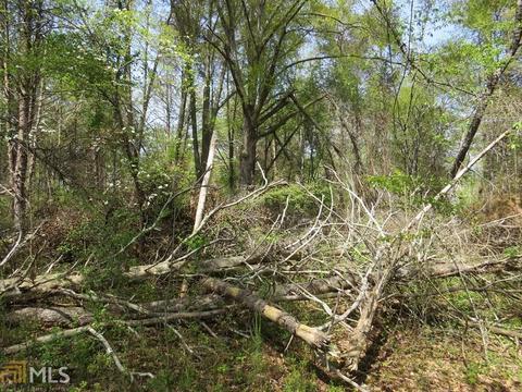 604 Currahee Pt, Toccoa, GA 30577 photo 8