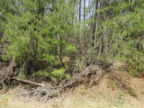 604 Currahee Pt, Toccoa, GA 30577 photo 12