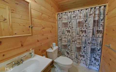 41 Cabbage Patch, Morganton, GA 30560 photo 21