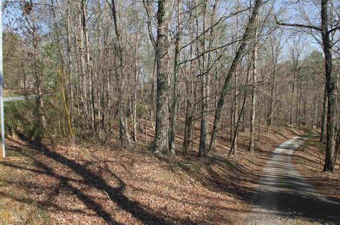 0 Falling Waters Dr, Demorest, GA 30535 photo 1