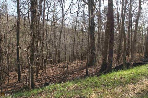 0 Falling Waters Dr, Demorest, GA 30535 photo 8