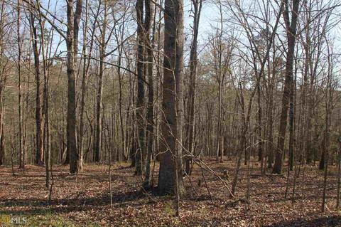 0 Falling Waters Dr, Demorest, GA 30535 photo 6