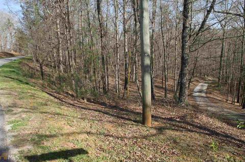 0 Falling Waters Dr, Demorest, GA 30535 photo 2