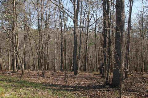 0 Falling Waters Dr, Demorest, GA 30535 photo 5