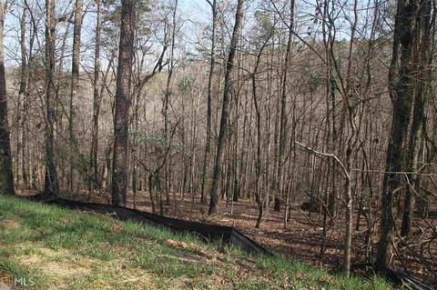 0 Falling Waters Dr, Demorest, GA 30535 photo 7